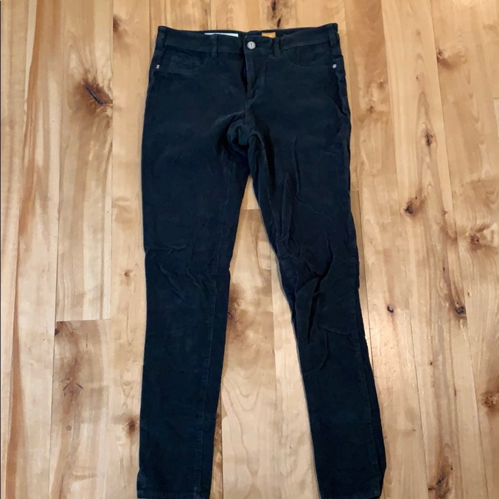 Pilcro Serif corduroy pant. Size 27